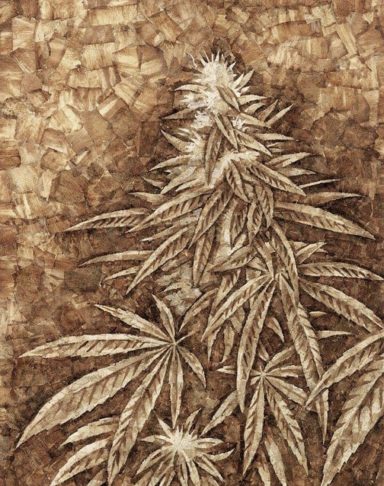 White Widow