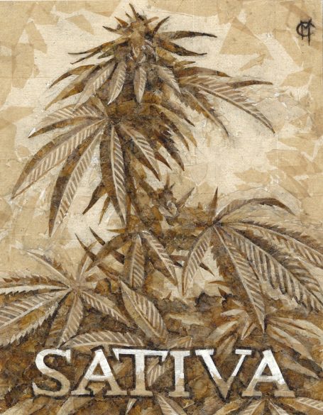 Sativa