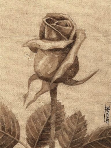 Rose Bud