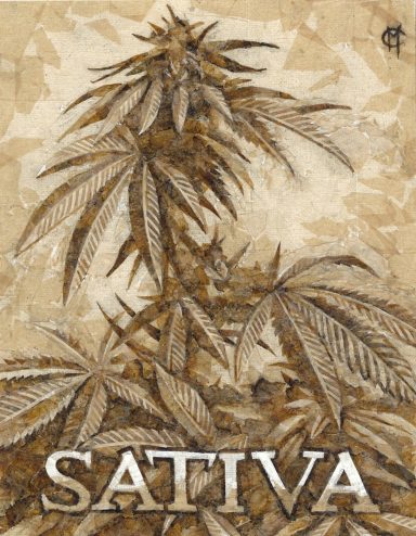 Sativa