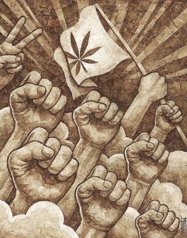 Revolution 420